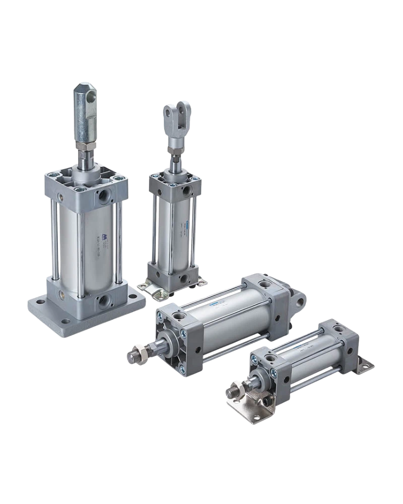 Standard Cylinders (MCQA) image 2