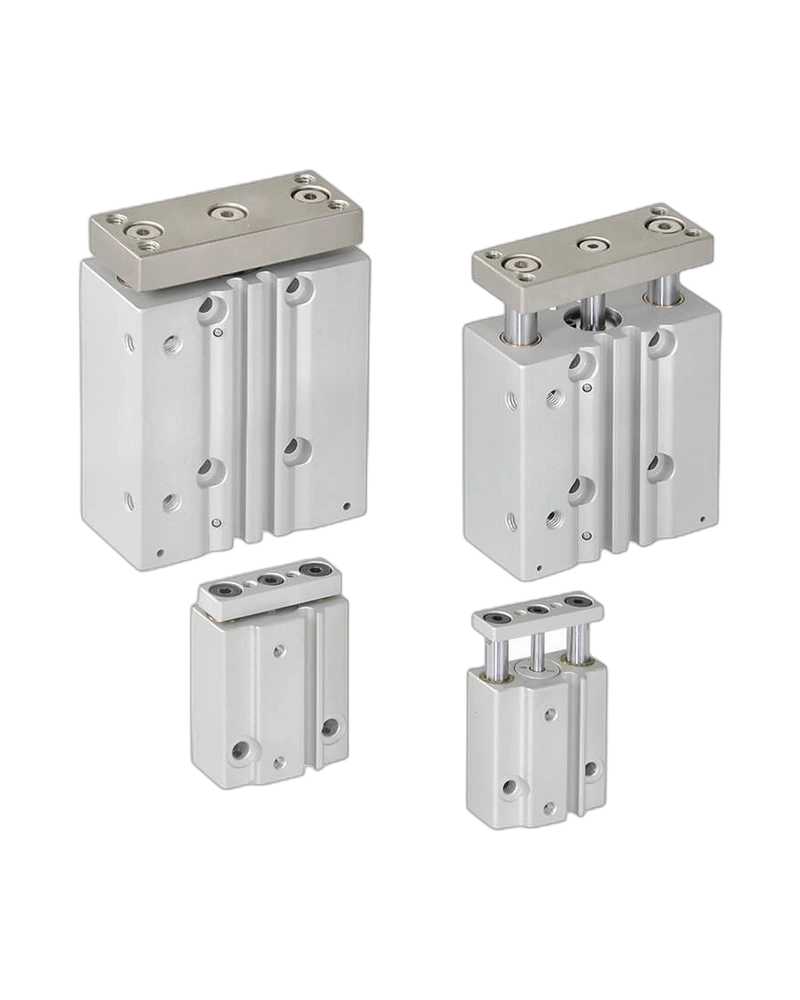 Twin-Guide Cylinder(MCGS) image 2