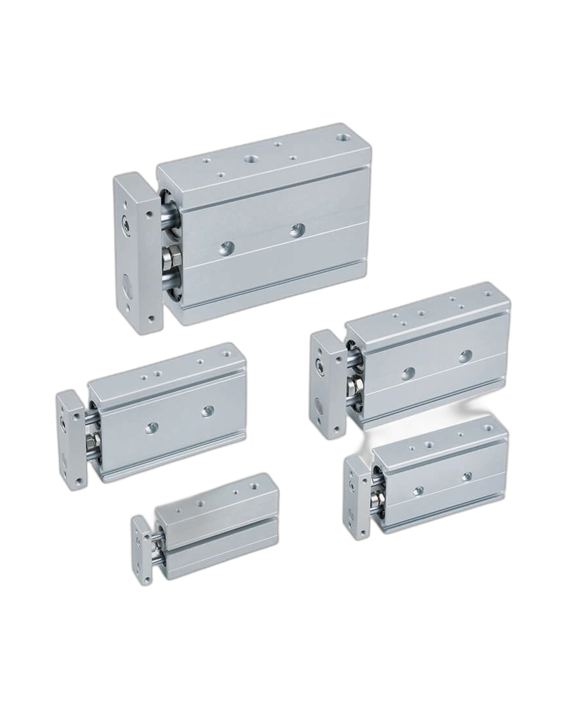 Dual-Rod Cylinder(MCDA) image 2