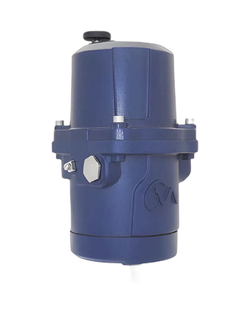 CMR - Multi-turn image 2