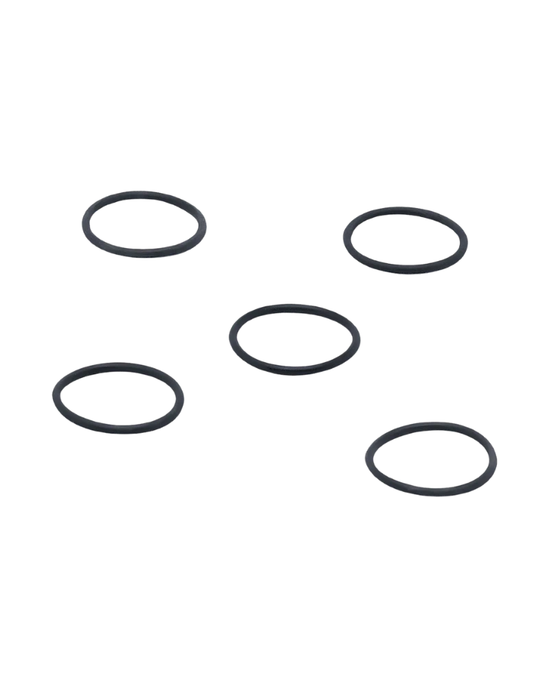 E30053 - O-ring - O-RG 24,00X2,00/FPM 5 PIECE image 2