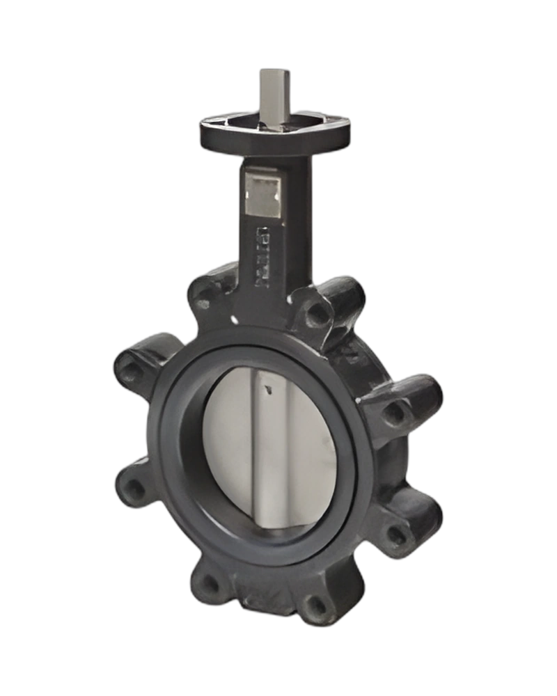 SM Butterfly Valve - 2 inch