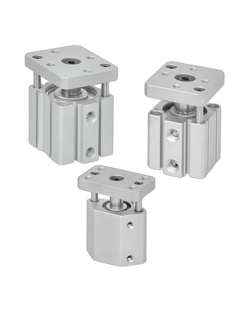 Twin-Guide Cylinder(MCGJ)