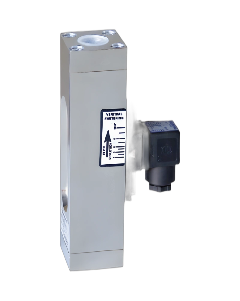 IF1VE1/IM6 - Adjustable Visual and Electric Flow meter