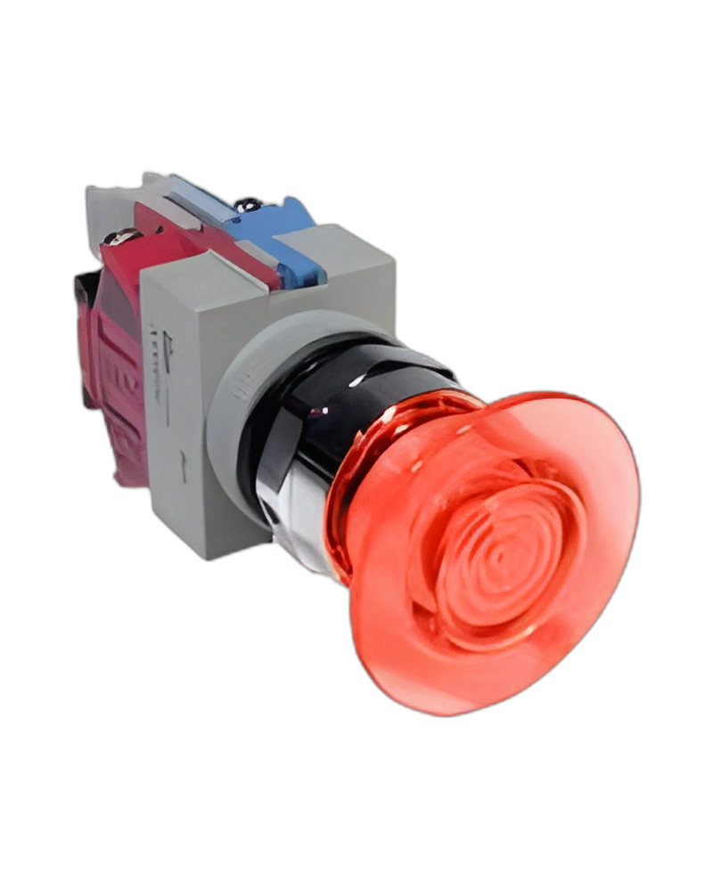 AYLW49922D-R-24V