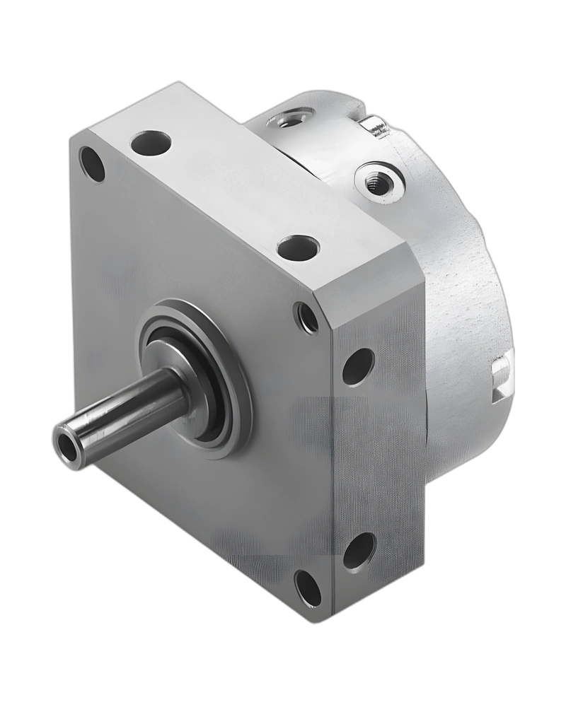 Semi-rotary drive DSM - DSM-10-180-P