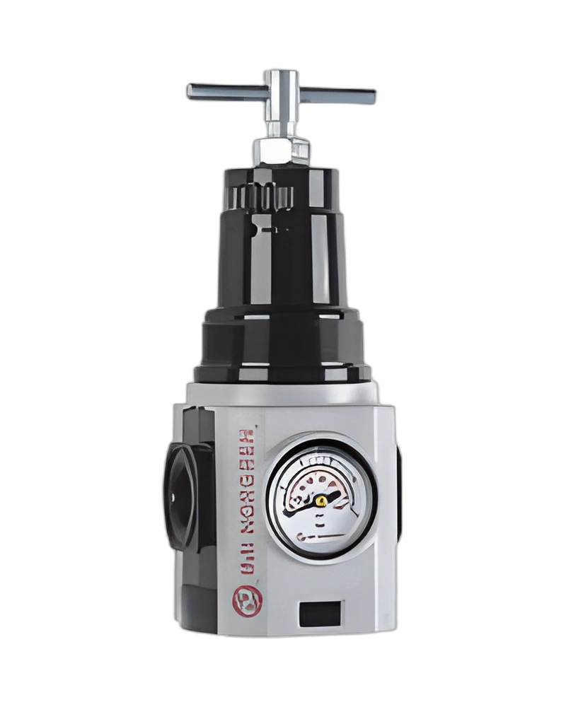 Excelon Plus General Purpose Regulator, 1/4" NPT, 0.7-17 barRegulator: R82G-2AT-RSN