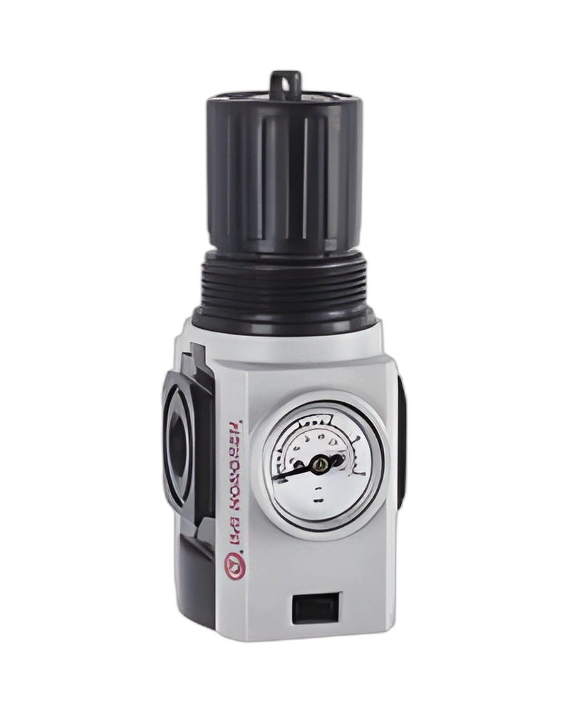 Excelon Plus General Purpose Regulator, 1/4" NPT, 0.3-4 bar, integrated gaugeRegulator: R82G-2AK-RFG
