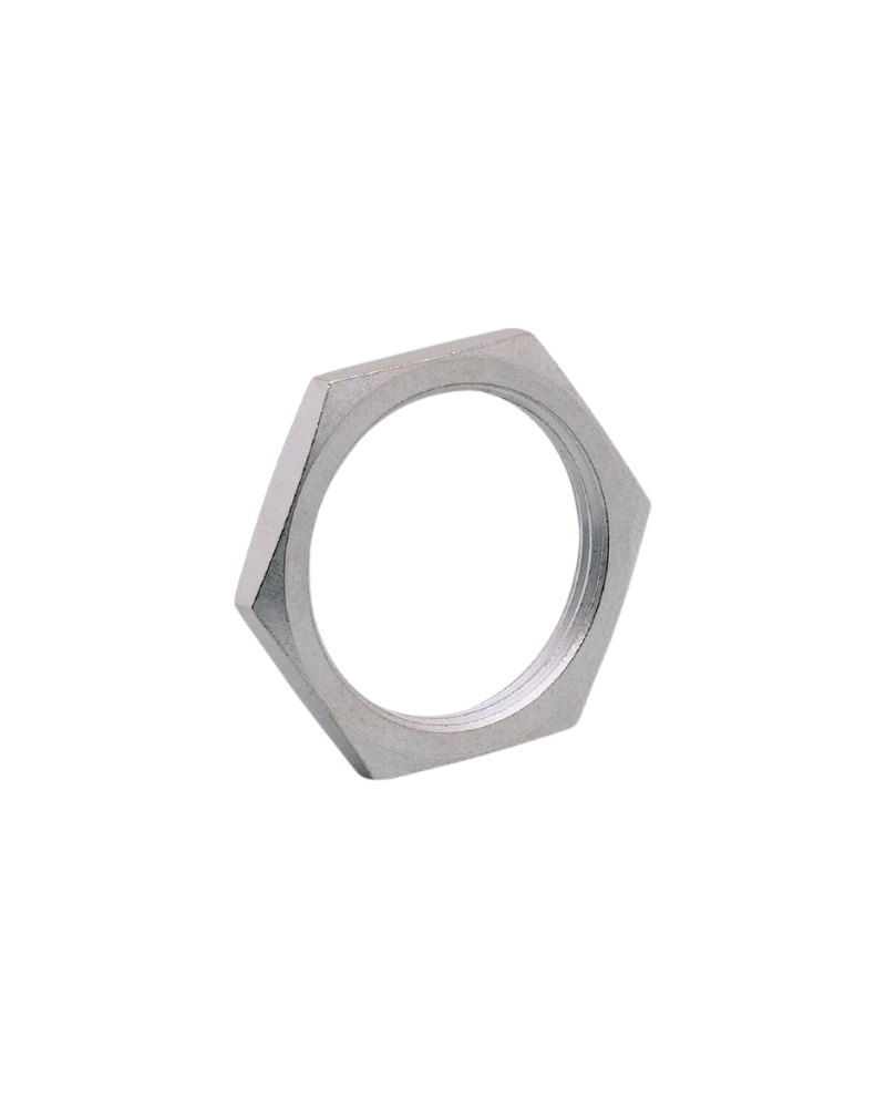 E10031 - Hexagon nut - NUT M30X1.5 V4A 2 PIECES