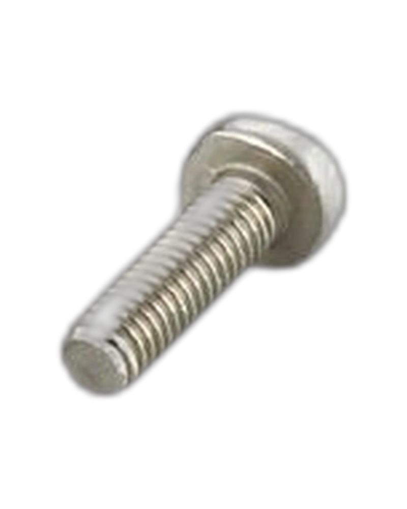 E12584 - Non-removable screw - 10x One way screw M4x20