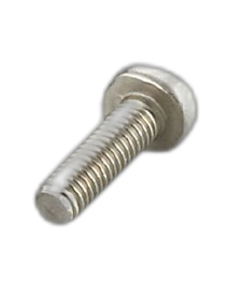 E12584 - Non-removable screw - 10x One way screw M4x20
