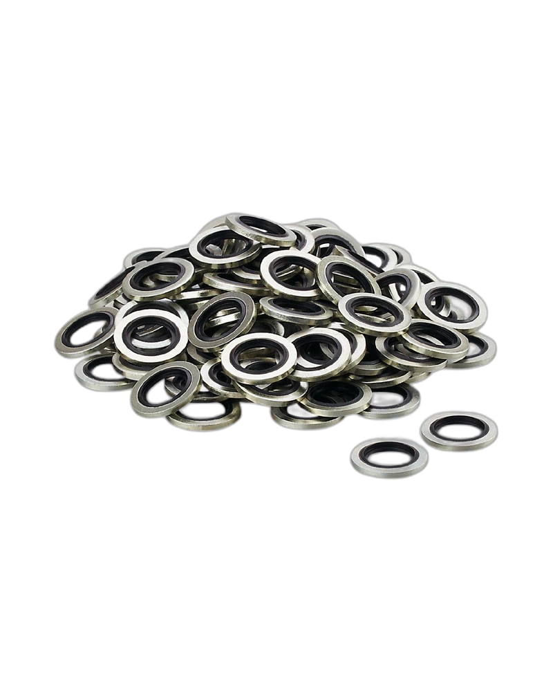 E30129 - Gasket - HYDRAULIC-SEALING RG 100P G1/4