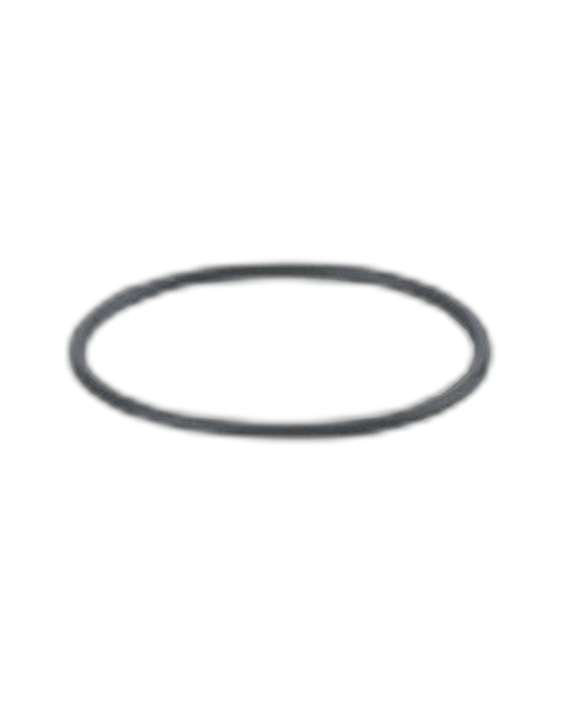 E30512 - O-ring - O-RG 16,40x1,00/FFKM