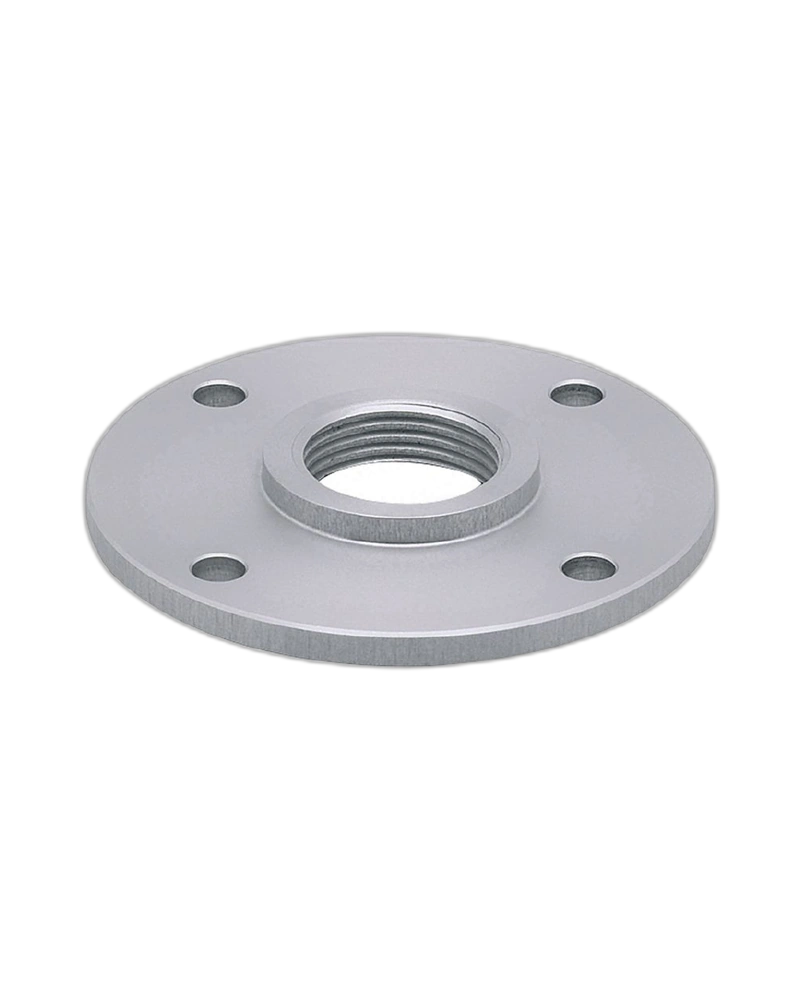 E43202 - Flange plate for level sensors- FLANGE PLATE 65-80/G3/4
